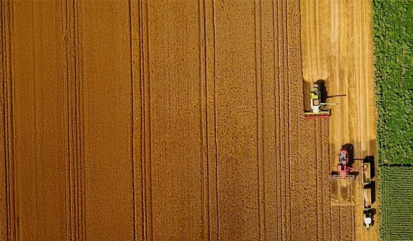 Winst oogsten - Counterpoint september 2025