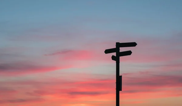 In gesprek met | Tim Knol