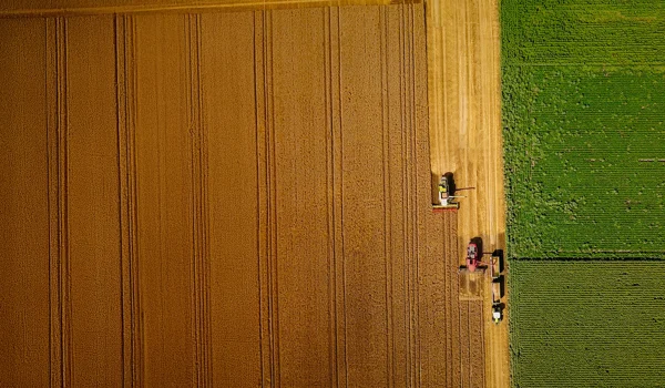 Harvesting profits - Counterpoint September 2025