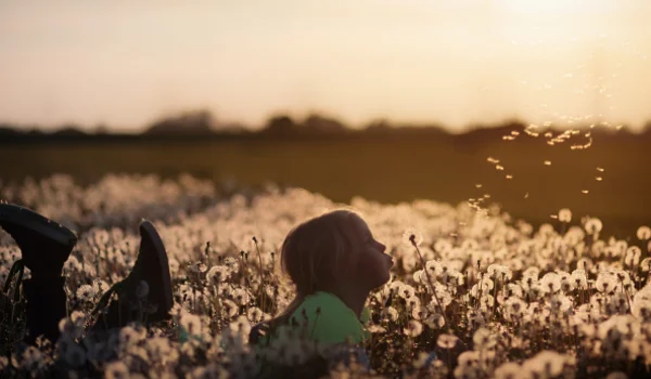 Marktupdate 24 november 2025