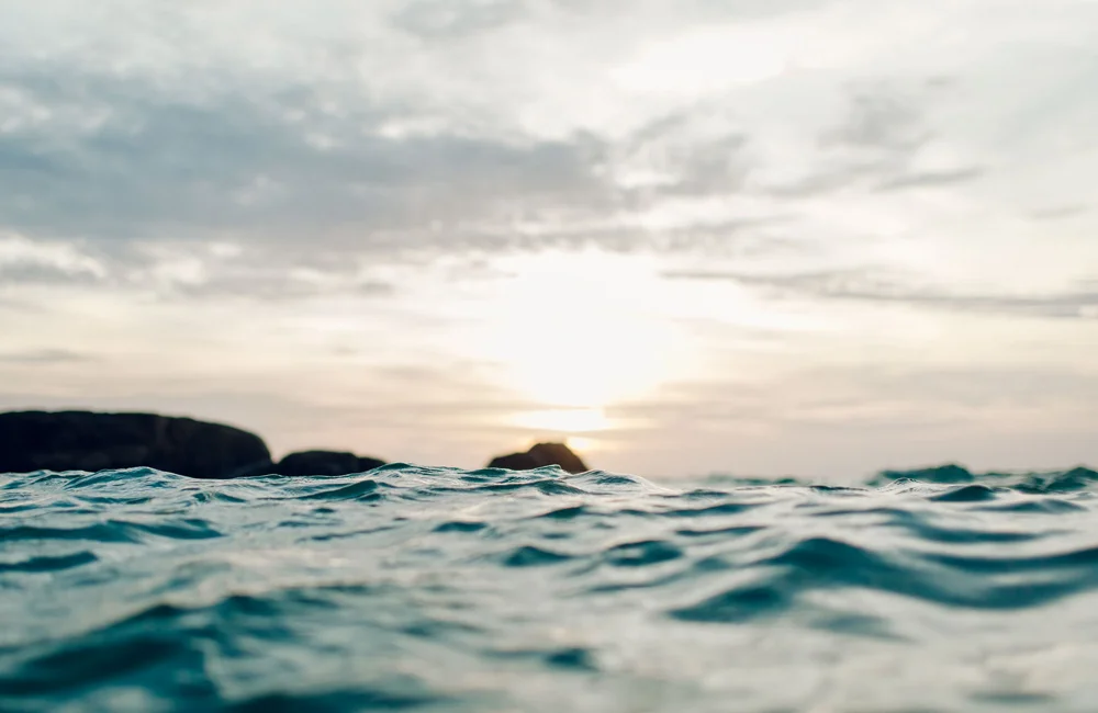 Marktupdate 13 oktober 2025