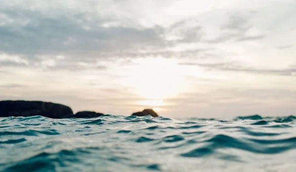 Marktupdate 13 oktober 2025