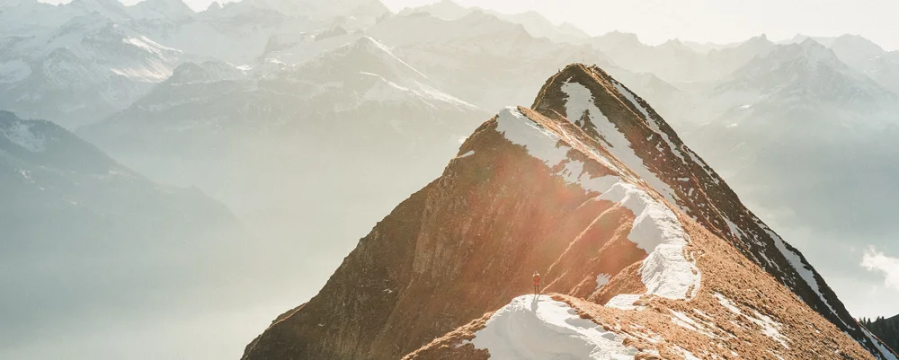 Marktupdate 1 december 2025