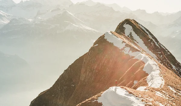 Marktupdate 1 december 2025