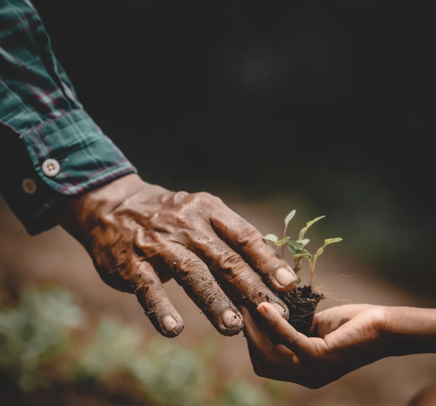 Impact and strategic giving