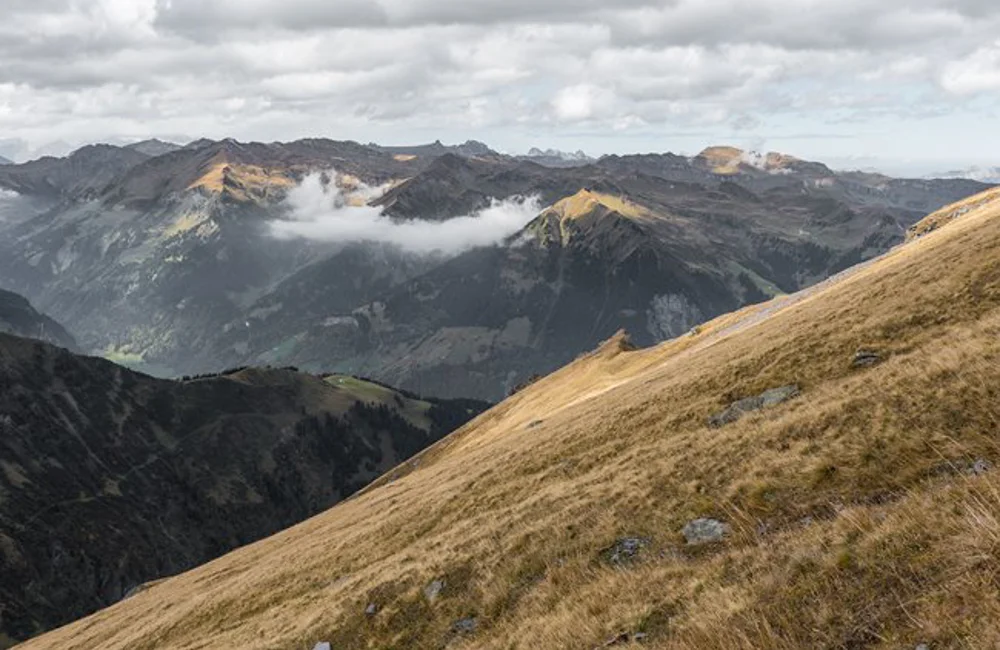 Marktupdate 20 oktober 2025