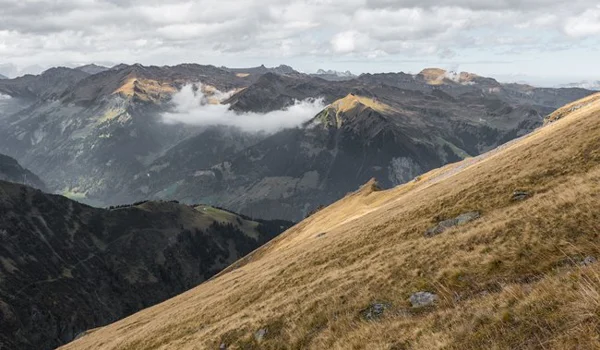 Marktupdate 20 oktober 2025