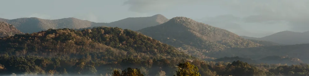 Marktupdate 22 december 2025