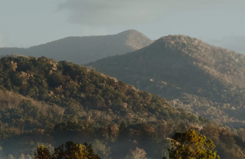 Marktupdate 22 december 2025