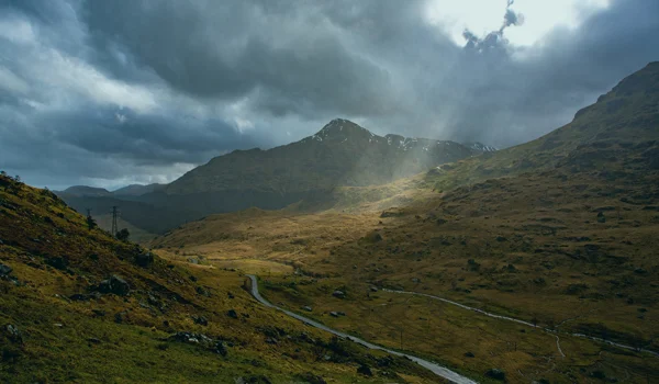 Marktupdate 1 september 2025