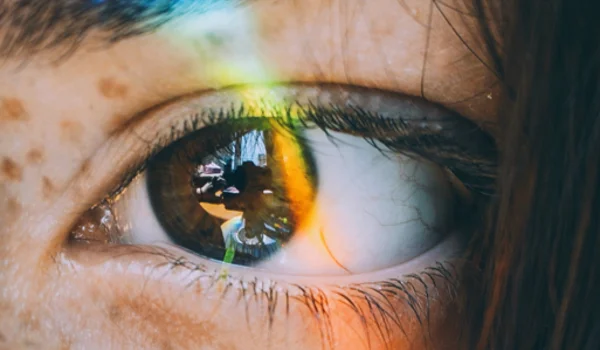 Marktupdate 29 september 2025