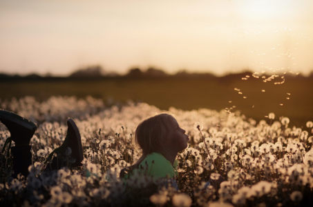 Man watching sunset